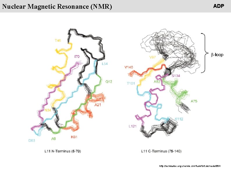 People Nuclear Magnetic Resonance (NMR) ADP http: //schwalbe. org. chemie. uni-frankfurt. de/node/684 