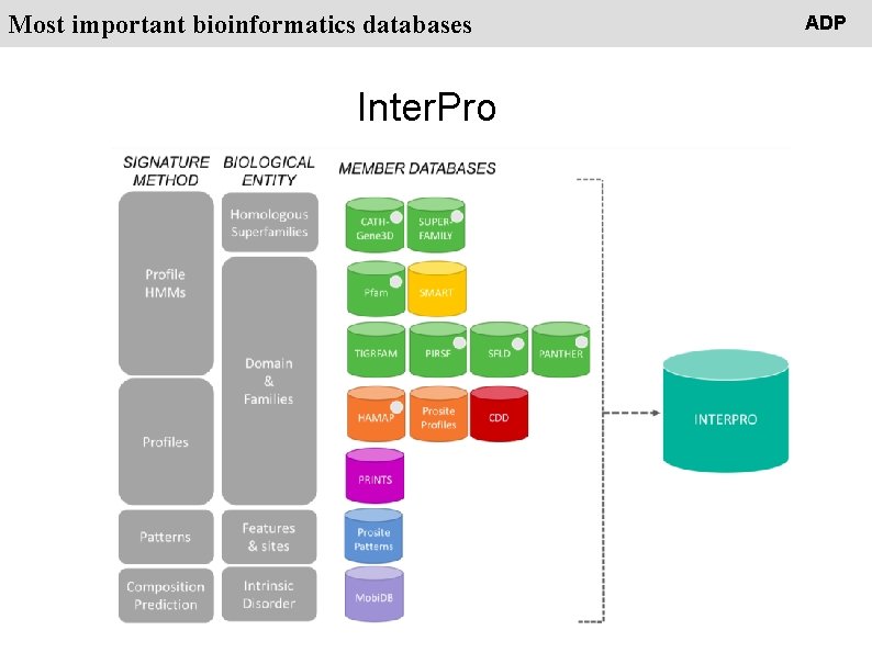 People Most important bioinformatics databases Inter. Pro ADP 
