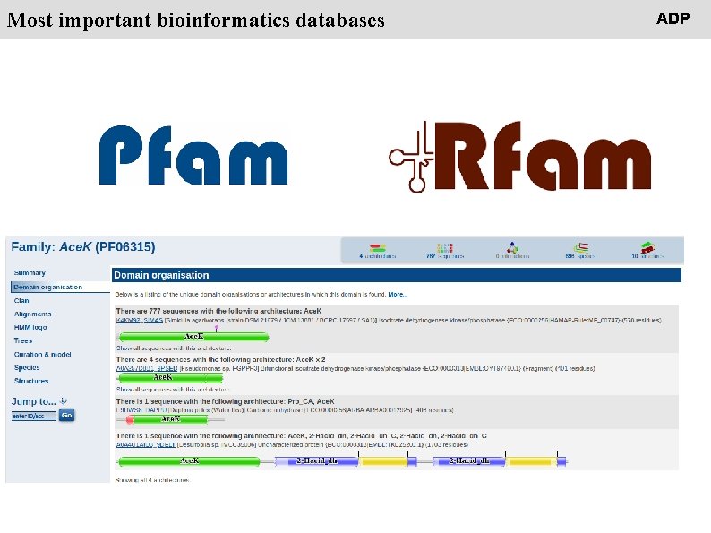 People Most important bioinformatics databases ADP 