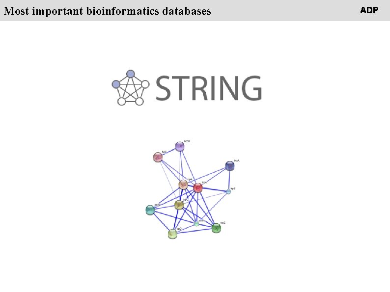 People Most important bioinformatics databases ADP 