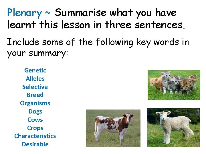 Plenary ~ Summarise what you have learnt this lesson in three sentences. Include some