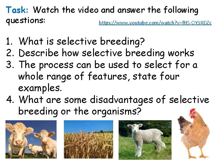 Task: Watch the video and answer the following questions: https: //www. youtube. com/watch? v=f.