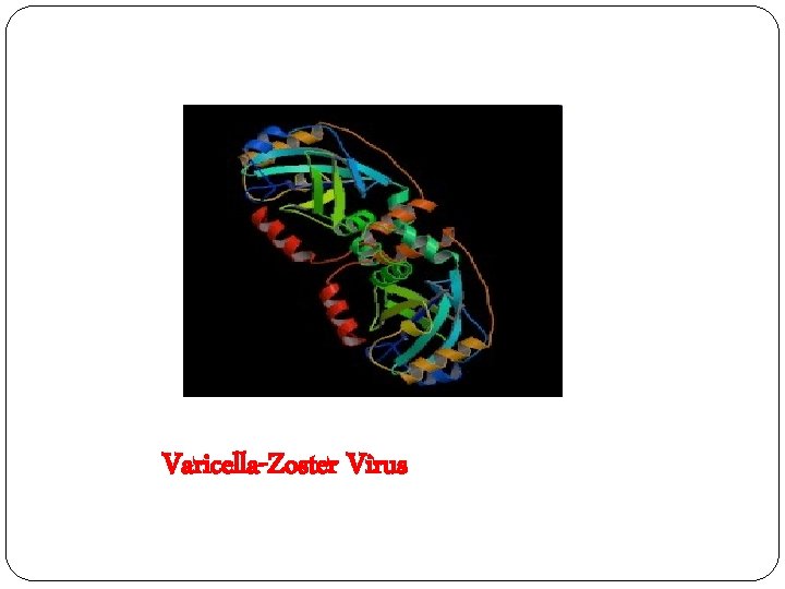 Varicella-Zoster Virus 