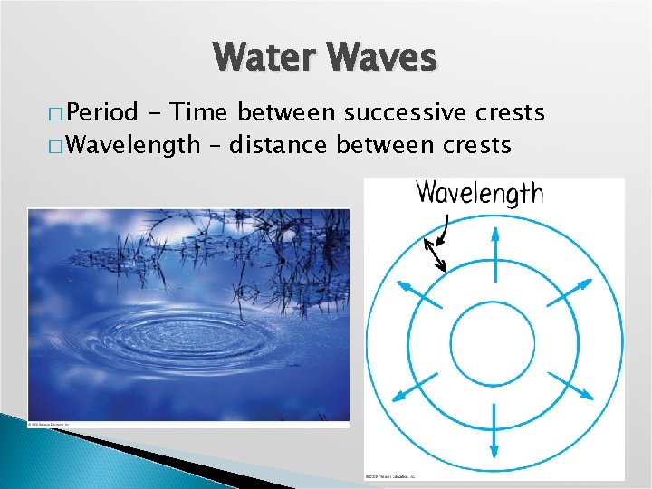 Water Waves � Period - Time between successive crests � Wavelength – distance between