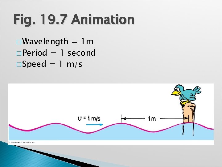 Fig. 19. 7 Animation � Wavelength = 1 m � Period = 1 second