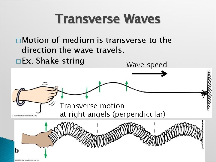 Transverse Waves � Motion of medium is transverse to the direction the wave travels.