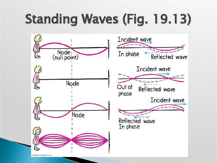 Standing Waves (Fig. 19. 13) 