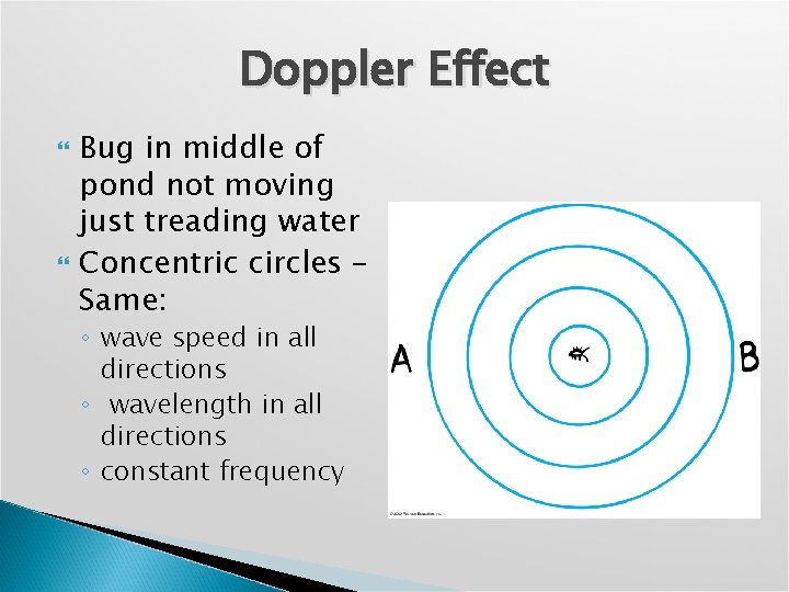 Doppler Effect Bug in middle of pond not moving just treading water Concentric circles