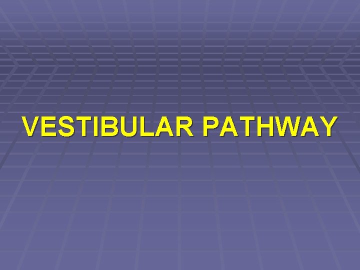 VESTIBULAR PATHWAY 