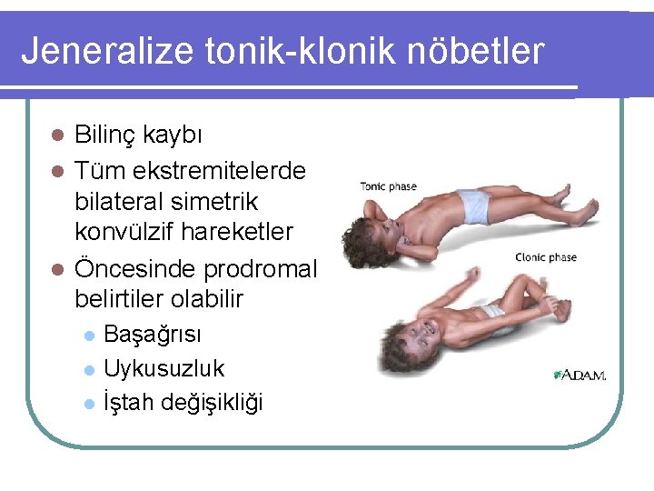 Jeneralize tonik-klonik nöbetler Bilinç kaybı l Tüm ekstremitelerde bilateral simetrik konvülzif hareketler l Öncesinde