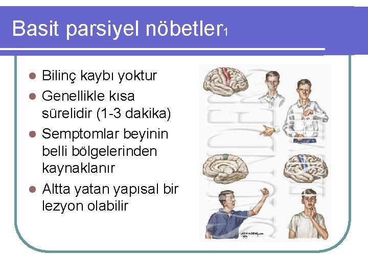 Basit parsiyel nöbetler 1 Bilinç kaybı yoktur l Genellikle kısa sürelidir (1 -3 dakika)