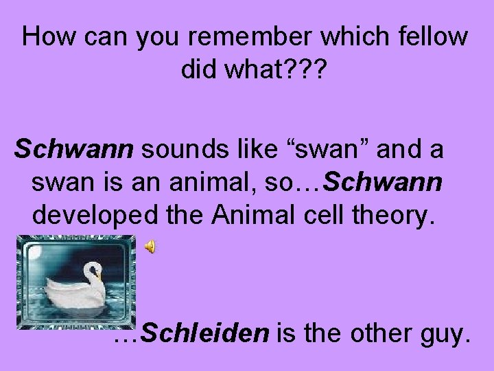 How can you remember which fellow did what? ? ? Schwann sounds like “swan”