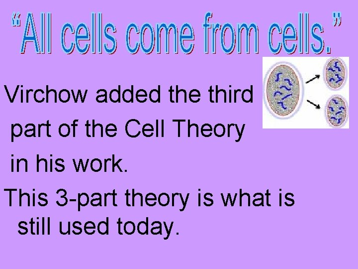 Virchow added the third part of the Cell Theory in his work. This 3