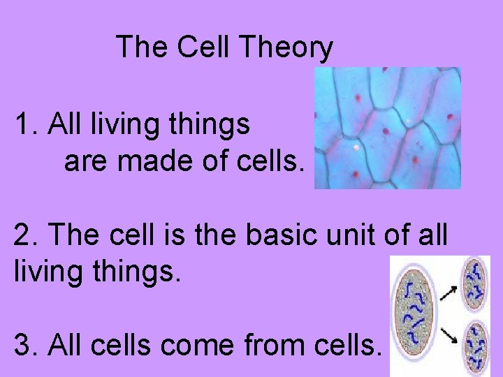 The Cell Theory 1. All living things are made of cells. 2. The cell
