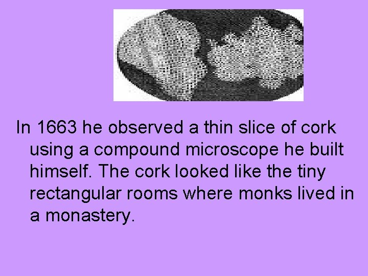 In 1663 he observed a thin slice of cork using a compound microscope he