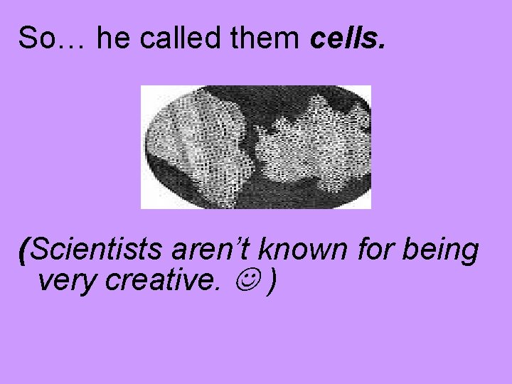 So… he called them cells. (Scientists aren’t known for being very creative. ) 