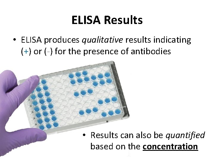 ELISA Results • ELISA produces qualitative results indicating (+) or (-) for the presence ELISA Results • ELISA produces qualitative results indicating (+) or (-) for the presence