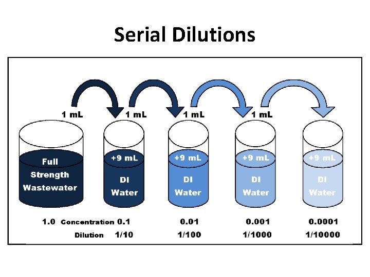 Serial Dilutions Serial Dilutions