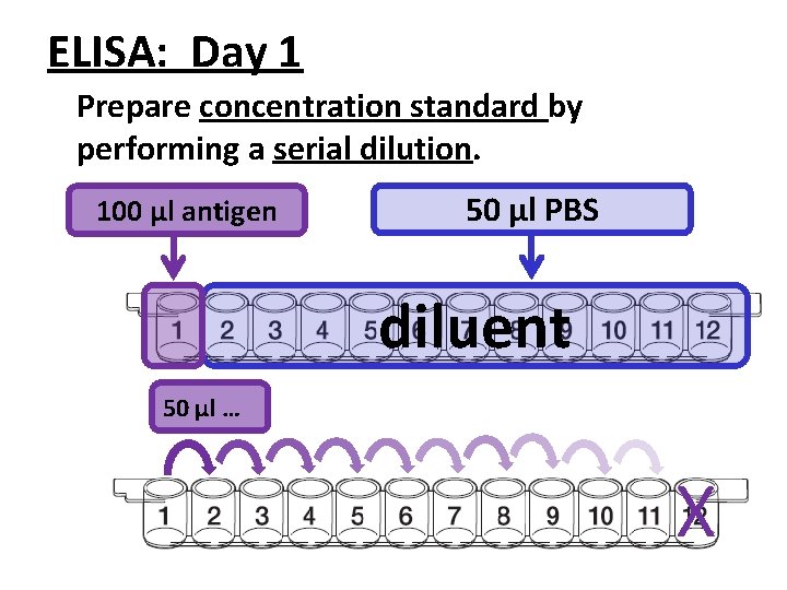 ELISA: Day 1 Prepare concentration standard by performing a serial dilution. 100 μl antigen ELISA: Day 1 Prepare concentration standard by performing a serial dilution. 100 μl antigen