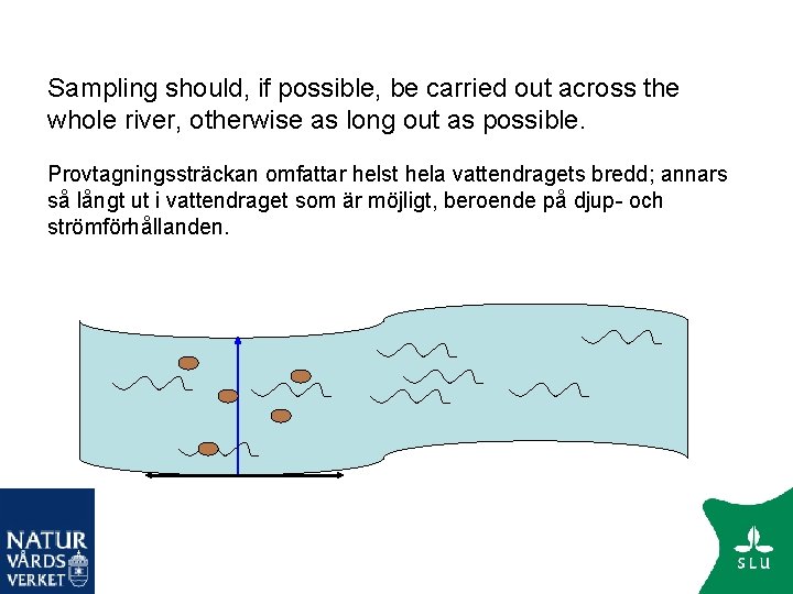 Sampling should, if possible, be carried out across the whole river, otherwise as long