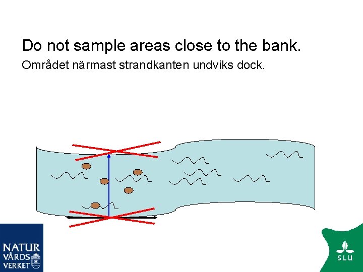 Do not sample areas close to the bank. Området närmast strandkanten undviks dock. 