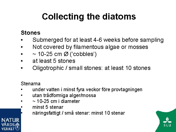 Collecting the diatoms Stones • Submerged for at least 4 -6 weeks before sampling