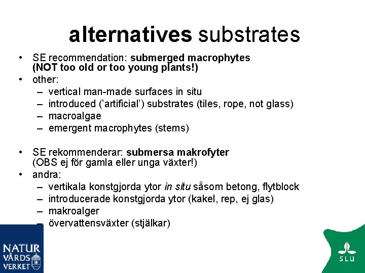 alternatives substrates • SE recommendation: submerged macrophytes (NOT too old or too young plants!)