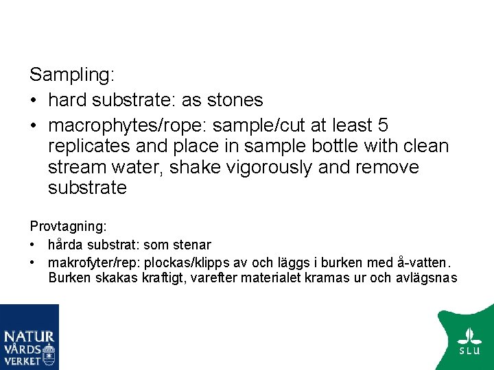 Sampling: • hard substrate: as stones • macrophytes/rope: sample/cut at least 5 replicates and