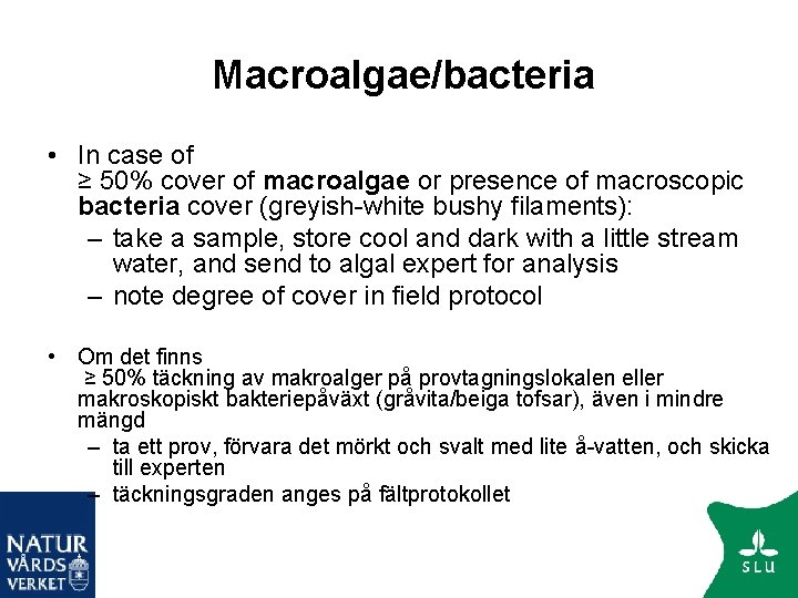 Macroalgae/bacteria • In case of ≥ 50% cover of macroalgae or presence of macroscopic