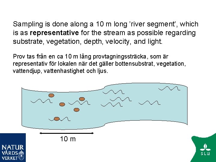 Sampling is done along a 10 m long ’river segment’, which is as representative
