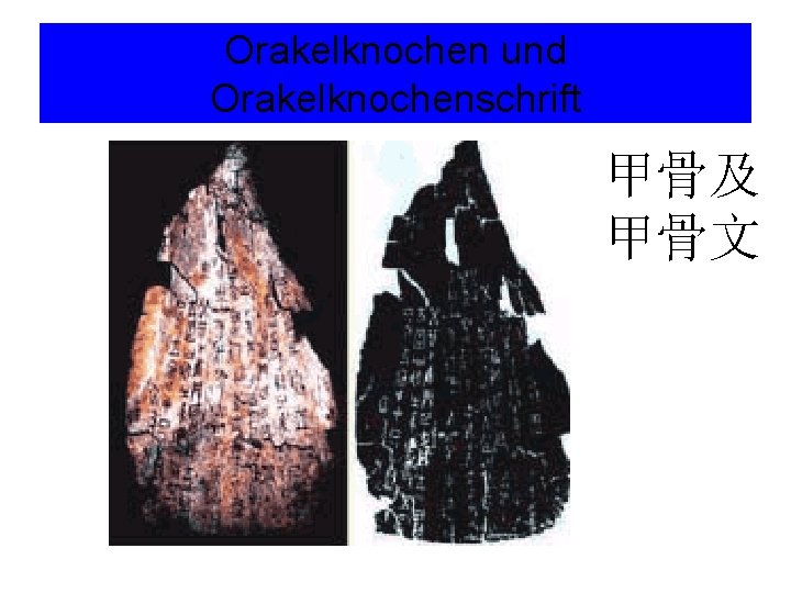 Orakelknochen und Orakelknochenschrift 甲骨及 甲骨文 