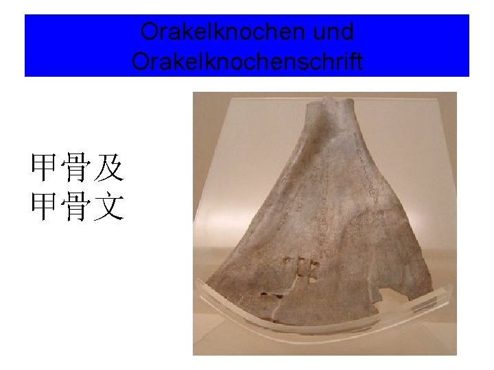 Orakelknochen und Orakelknochenschrift 甲骨及 甲骨文 