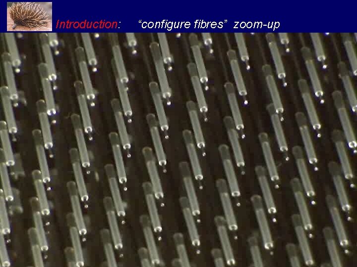 Introduction: “configure fibres” zoom-up 