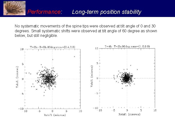 Performance: Long-term position stability No systematic movements of the spine tips were observed at