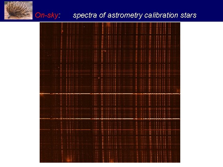 On-sky: spectra of astrometry calibration stars 