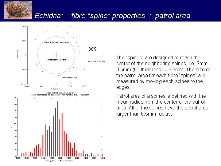 Echidna: fibre “spine” properties : patrol area The “spines” are designed to reach the