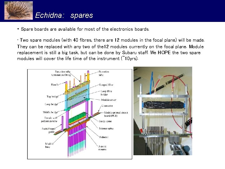 Echidna: spares • Spare boards are available for most of the electronics boards. •
