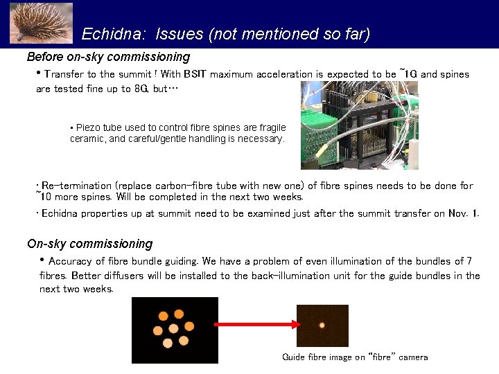 Echidna: Issues (not mentioned so far) Before on-sky commissioning • Transfer to the summit