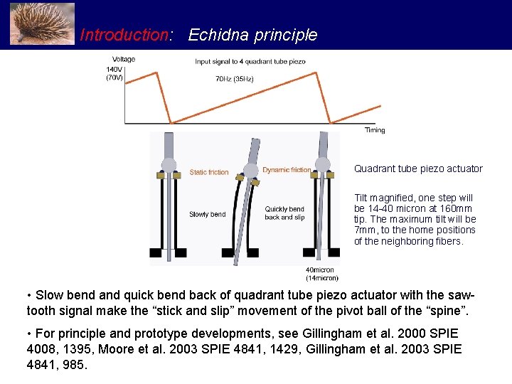 Introduction: Echidna principle Quadrant tube piezo actuator Tilt magnified, one step will be 14