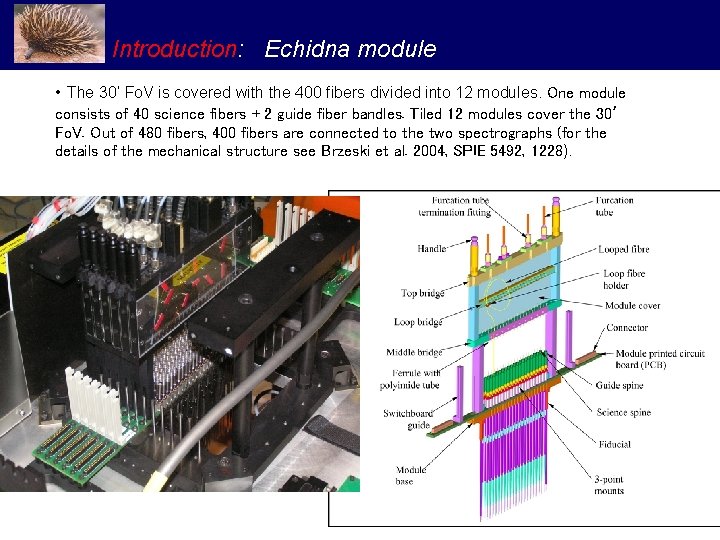 Introduction: Echidna module • The 30’ Fo. V is covered with the 400 fibers