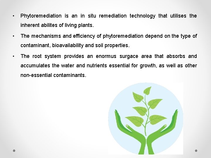  • Phytoremediation is an in situ remediation technology that utilises the inherent abilites