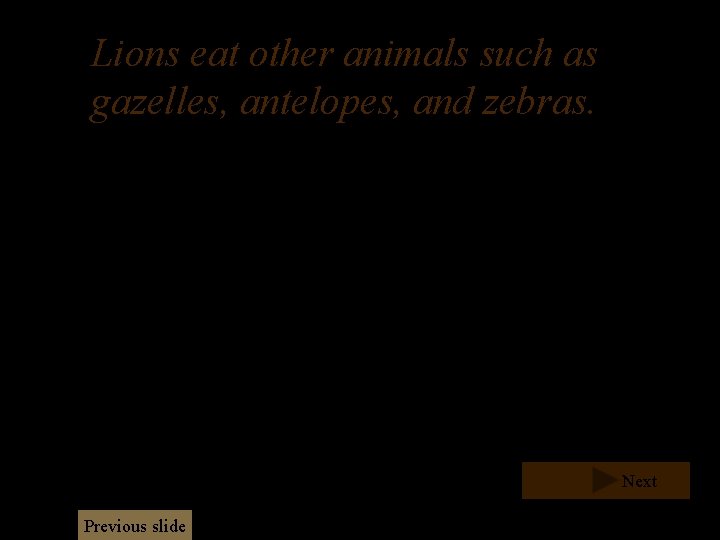 Lions eat other animals such as gazelles, antelopes, and zebras. Next Previous slide Lions eat other animals such as gazelles, antelopes, and zebras. Next Previous slide