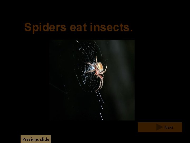 Spiders eat insects. Next Previous slide Spiders eat insects. Next Previous slide