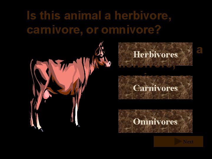 Is this animal a herbivore, carnivore, or omnivore? Is this animal a Herbivores herbivore, Is this animal a herbivore, carnivore, or omnivore? Is this animal a Herbivores herbivore,