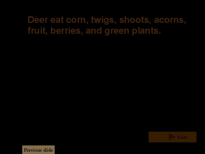 Deer eat corn, twigs, shoots, acorns, fruit, berries, and green plants. Next Previous slide Deer eat corn, twigs, shoots, acorns, fruit, berries, and green plants. Next Previous slide
