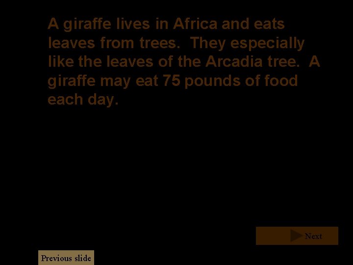 A giraffe lives in Africa and eats leaves from trees. They especially like the A giraffe lives in Africa and eats leaves from trees. They especially like the