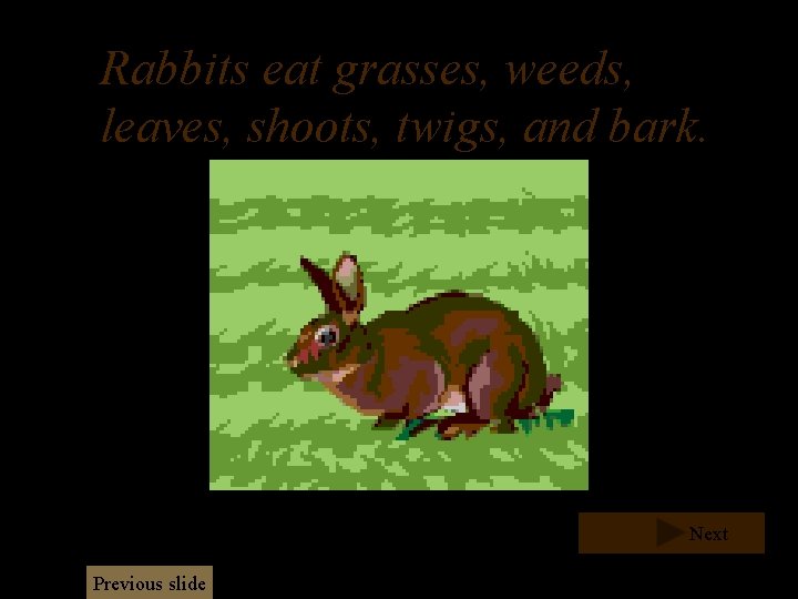 Rabbits eat grasses, weeds, leaves, shoots, twigs, and bark. Next Previous slide Rabbits eat grasses, weeds, leaves, shoots, twigs, and bark. Next Previous slide