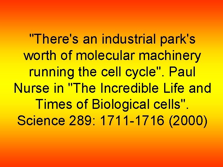 "There's an industrial park's worth of molecular machinery running the cell cycle". Paul Nurse