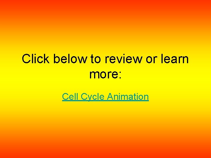 Click below to review or learn more: Cell Cycle Animation 