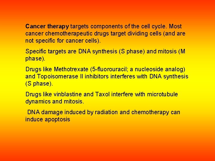 Cancer therapy targets components of the cell cycle. Most cancer chemotherapeutic drugs target dividing